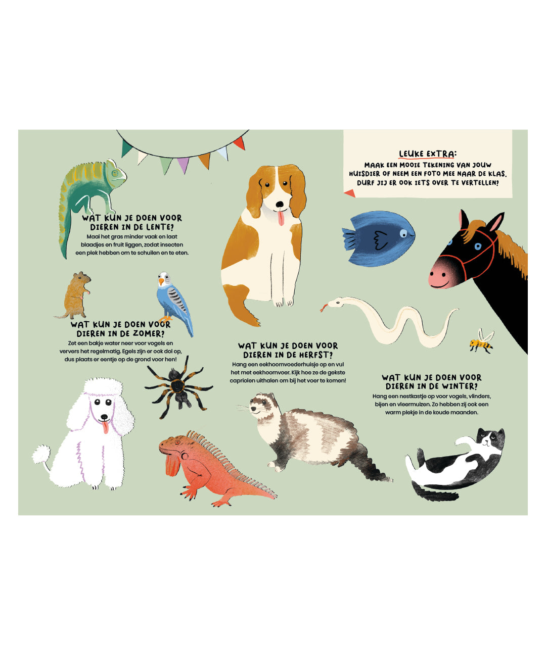 Alle dagen feest - Een boek over feestdagen in Nederland