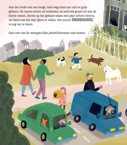 Poezel - Een held op gekleurde sokken