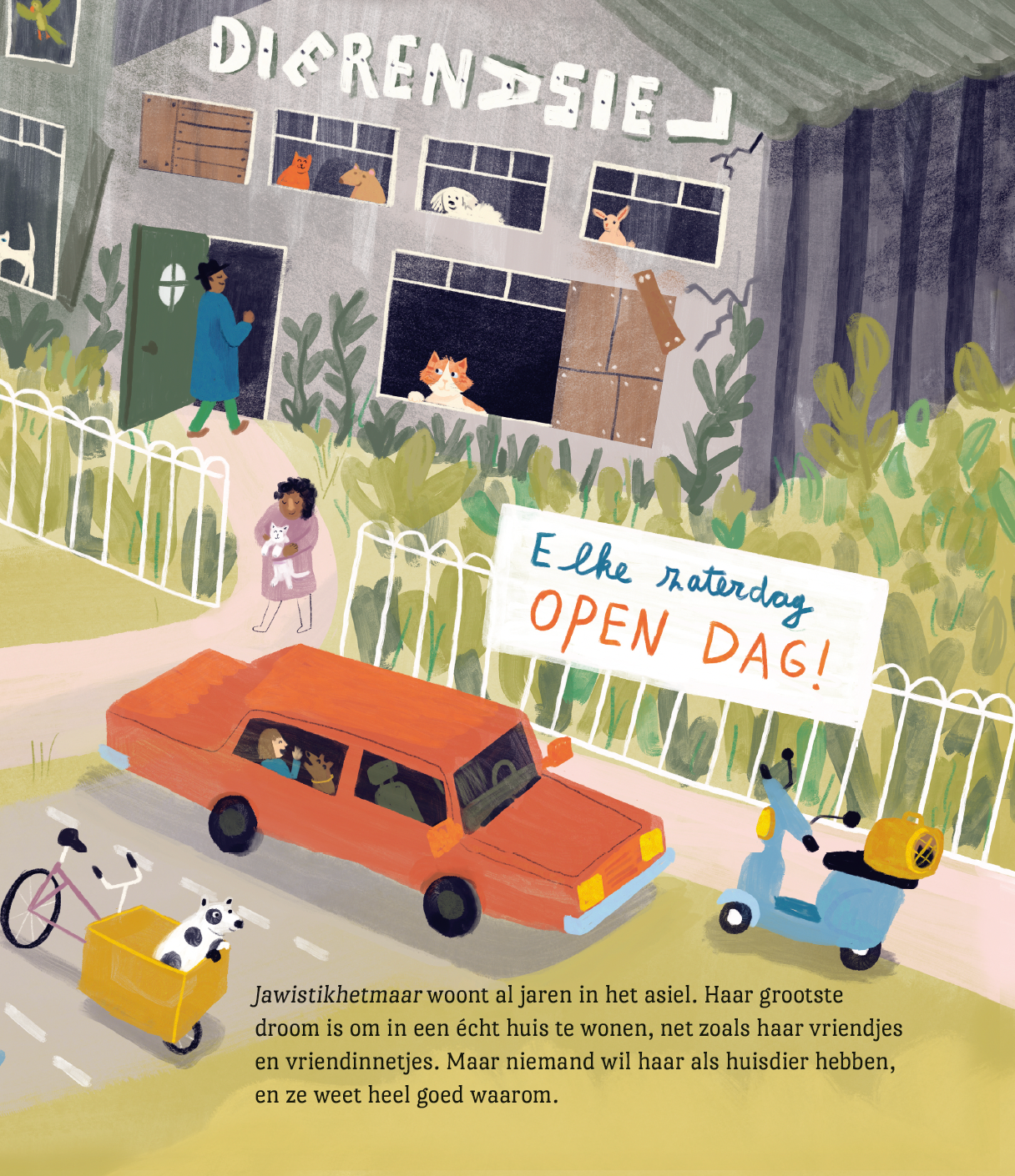 Poezel - Een held op gekleurde sokken