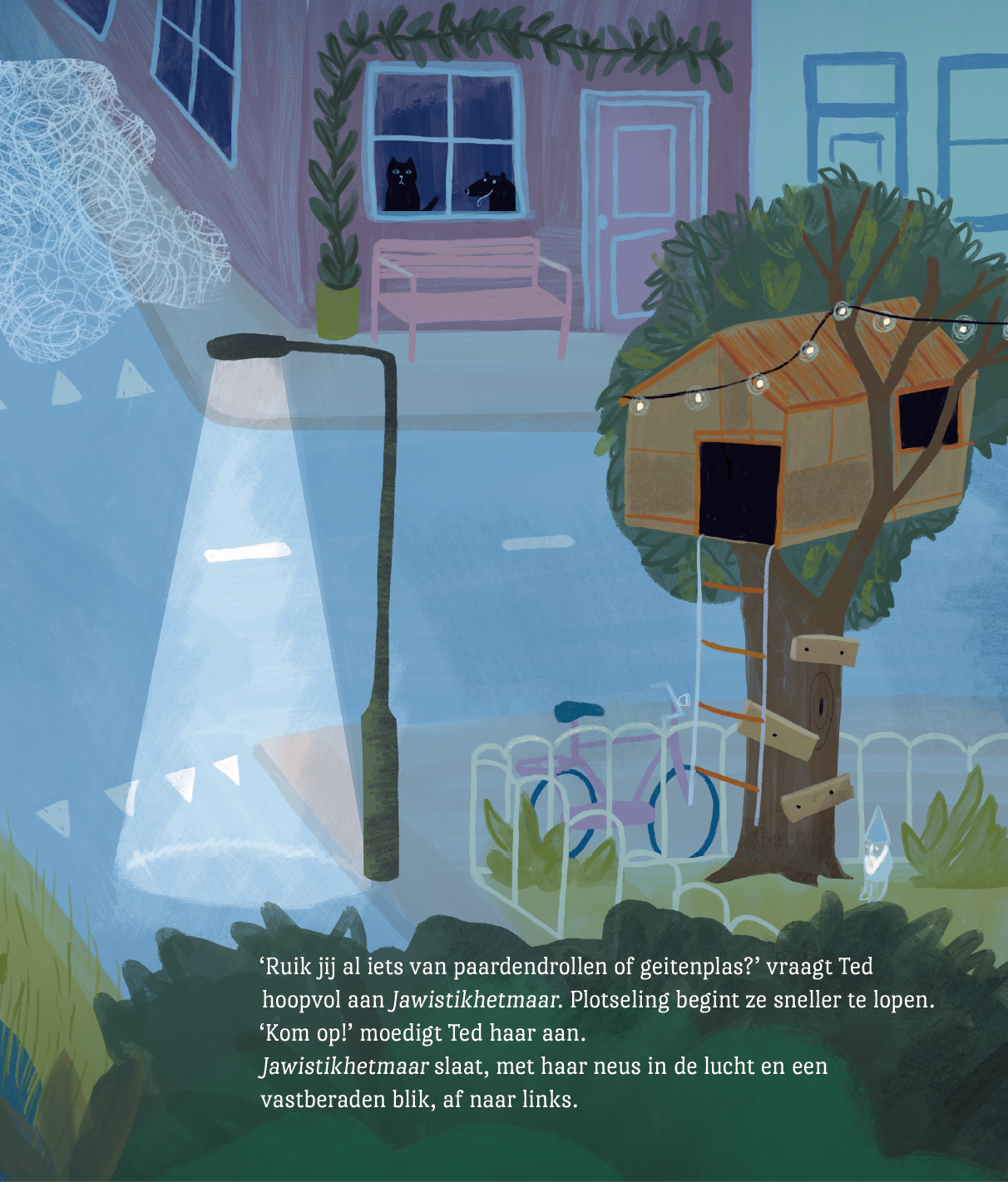 Poezel - Een held op gekleurde sokken